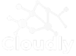 ConcisePoint - Data Science Consultants